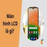 Màn hình LCD là gì? Mọi điều bạn cần biết về tấm nền tinh thể lỏng