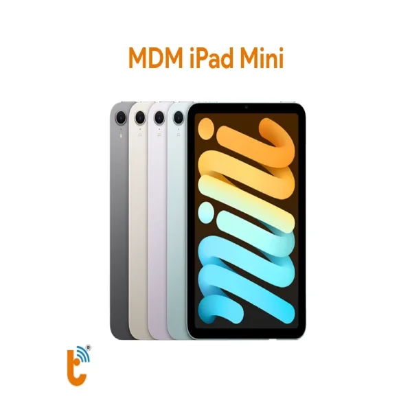 mdm-ipad-mini-1