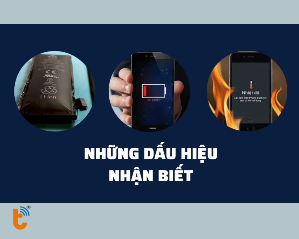 Những dấu hiệu nhận biết