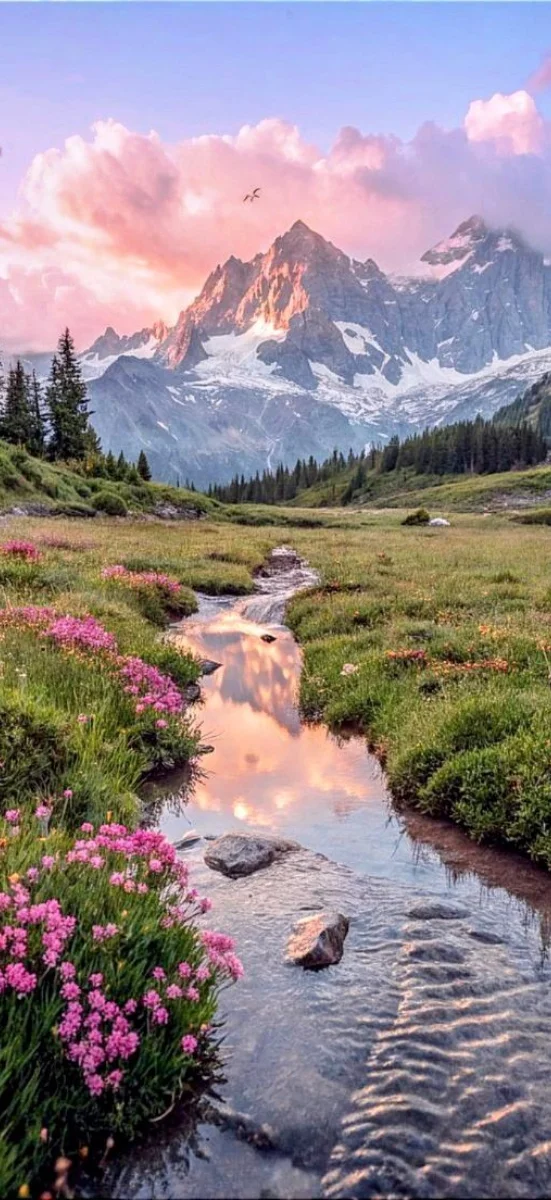 Chủ đề núi non hùng vĩ 12