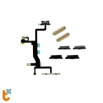 nut-volume-6sjpg-1
