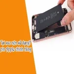 Sự thật về pin Apple chính hãng: Tại sao nên sử dụng?