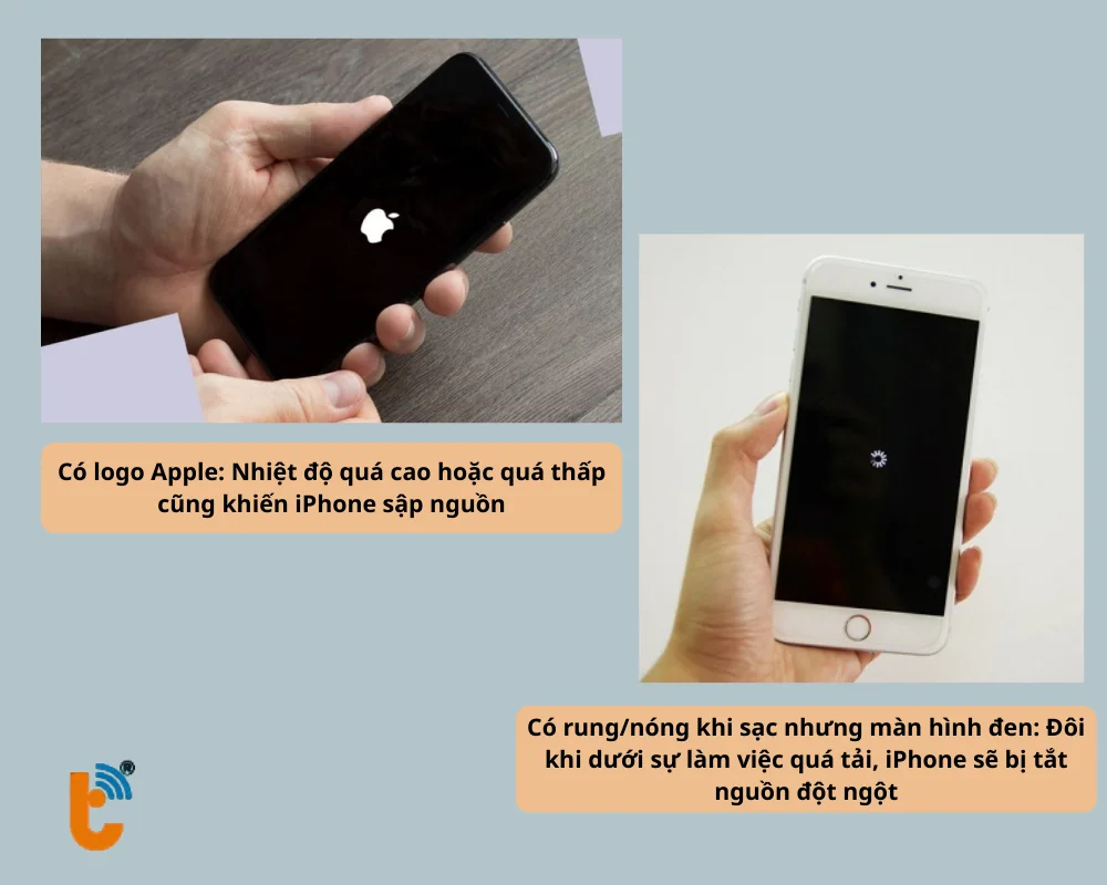 Quan sát phản ứng của máy