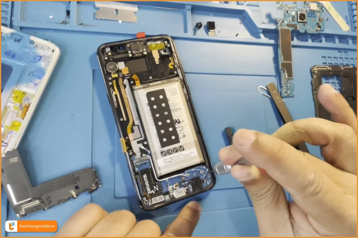 Quy trình thay màn hình Samsung S8 Plus