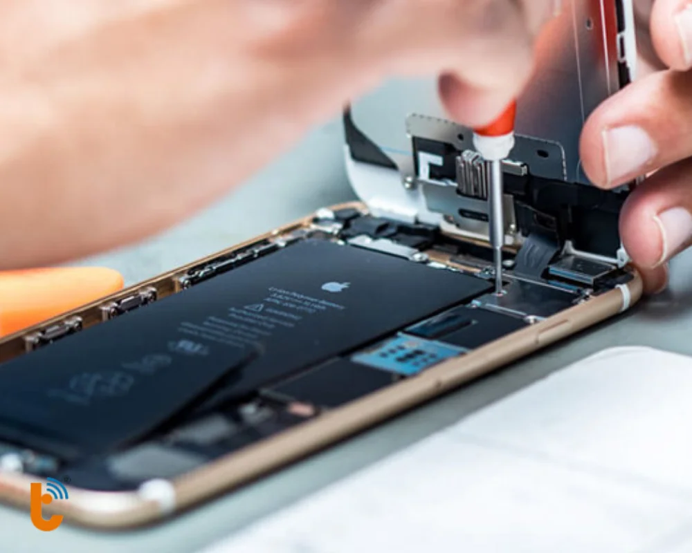 Khách hàng được quan sát trực tiếp toàn bộ quy trình