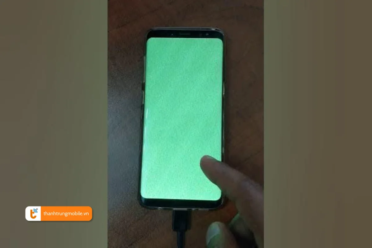 samsung s8 bị ám màn
