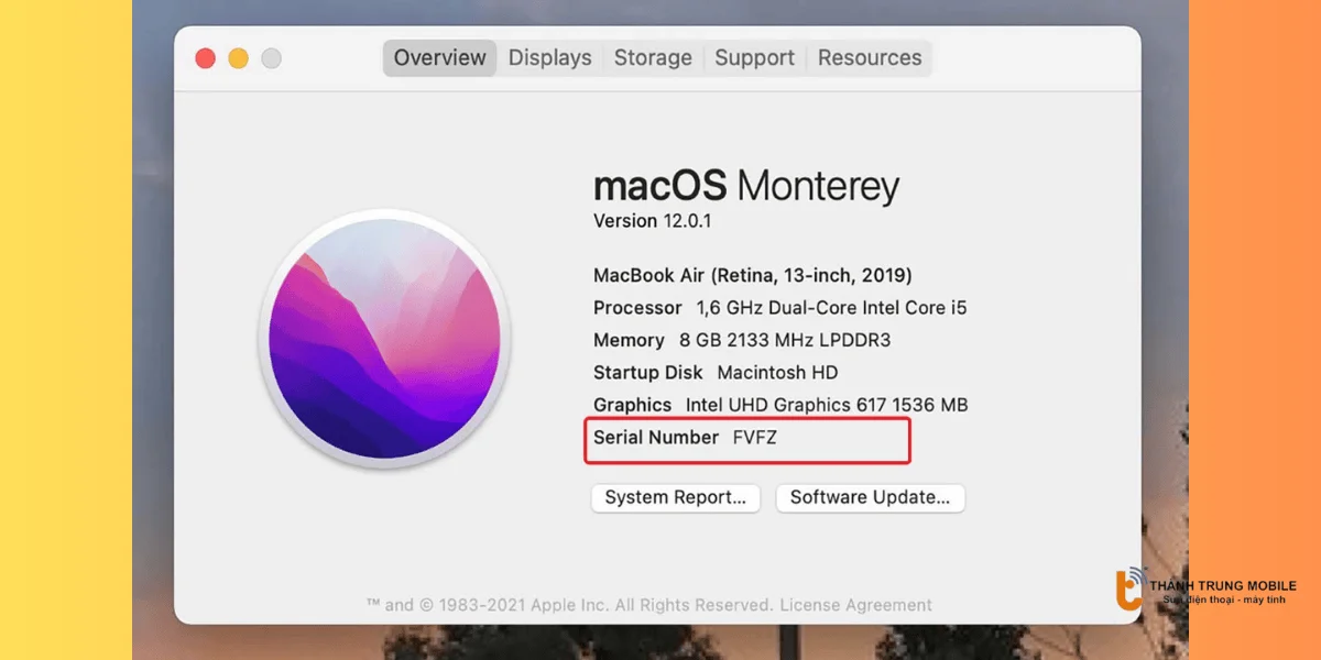 Sao chép Serial Number 