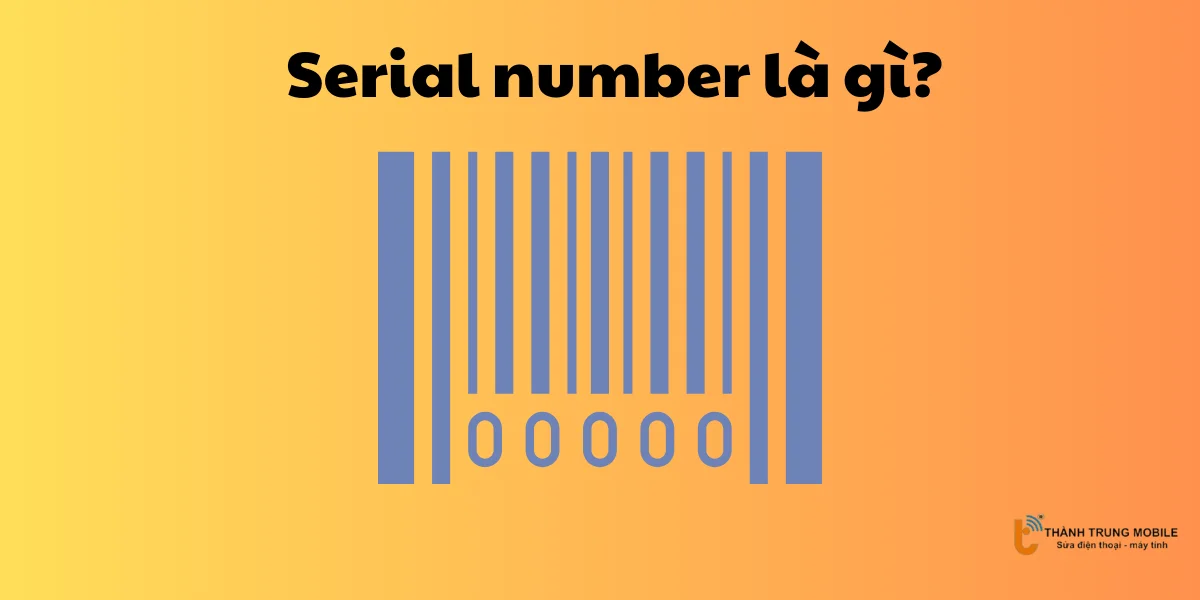 Serial number là gì?