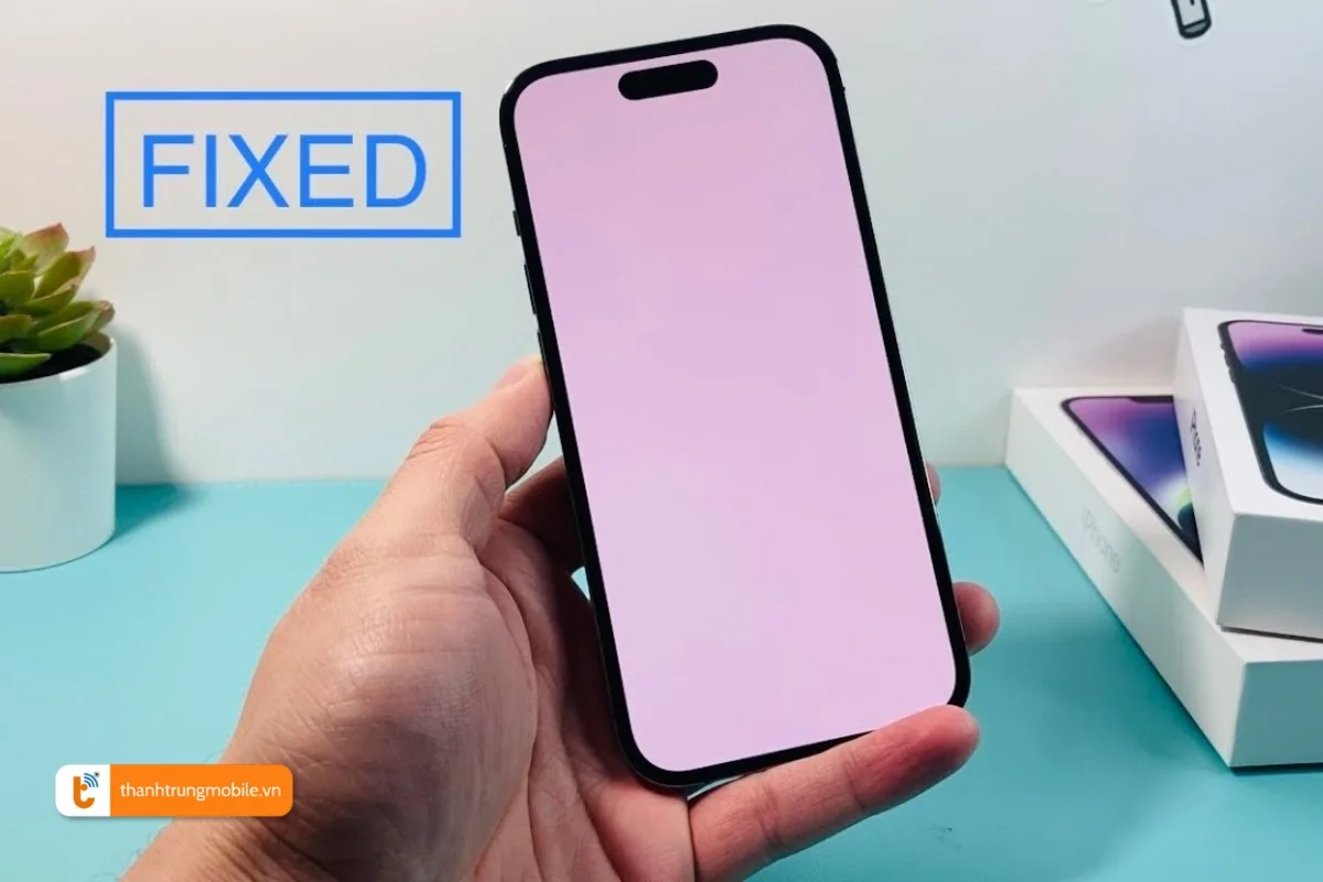 sửa iphone trắng màn hình