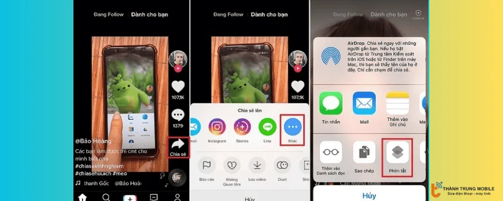 Tải video TikTok không logo trên IOS 12, 13