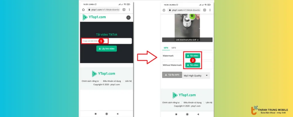 Tải video TikTok không logo trên Ytop1