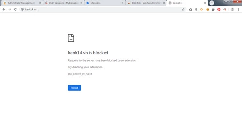 ung-dung-chan-trang-web-4