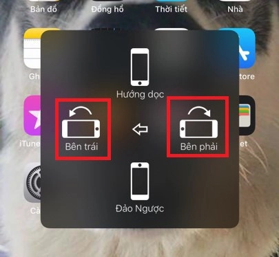bat-xoay-man-hinh-iphone-x-4