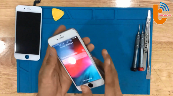 Hướng dẫn thay màn hình iPhone 6 - Thành Trung Mobile