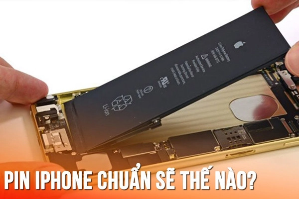 phan-biet-pin-zin-va-pin-lo-1