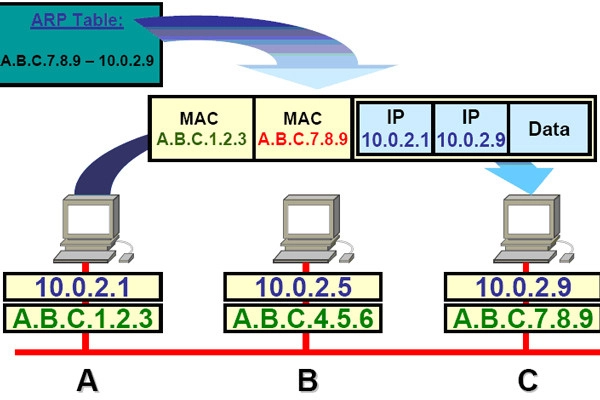su-khac-biet-giua-dia-chi-mac-va-dia-chi-ip