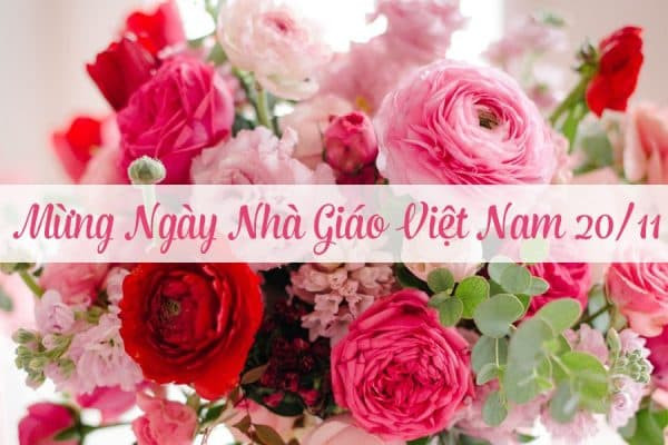 Lời chúc ngày nhà giáo Việt Nam | Hình 11