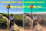 16 công thức màu Lightroom Mobile mới nhất cho mọi thể loại ảnh