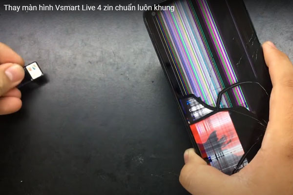 Biểu hiện màn hình Vsmart Live 4 sọc màu