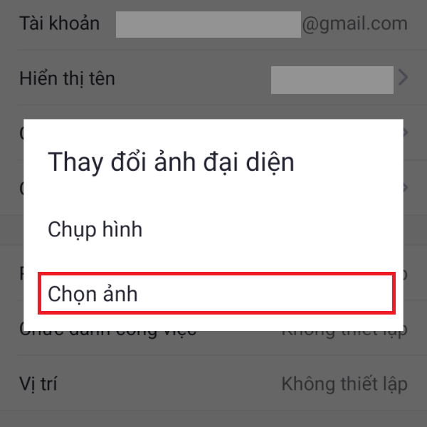 cach-doi-anh-dai-dien-tren-zoom-bang-dien-thoai-may-tinh-5