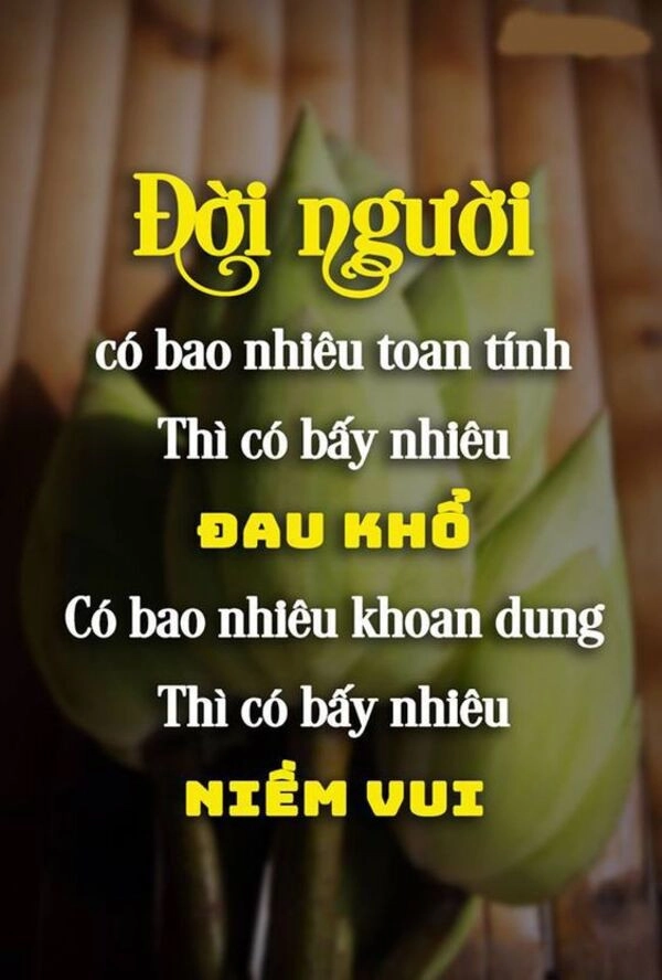 hinh-anh-y-nghia-ve-cuoc-song5-1-1641733589