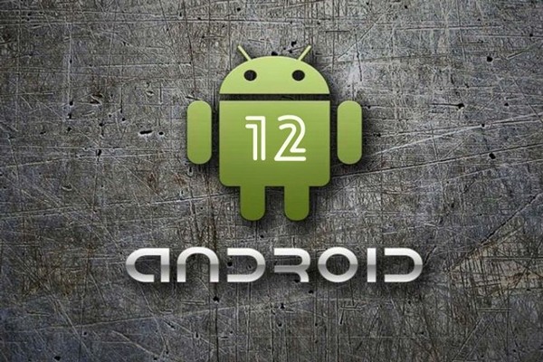 Hướng dẫn cách cập nhật Android 12 trên Samsung, Oppo, Xiaomi