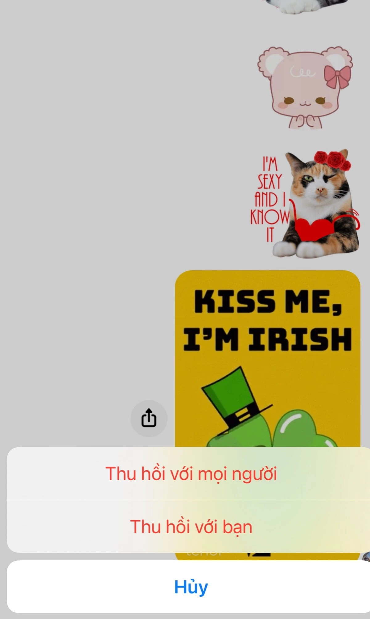 cach-thu-hoi-tin-nhan-tren-messenger-3