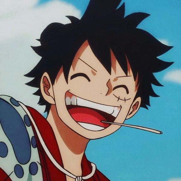 One Piece Những hình ảnh hài hước của Luffy khiến người xem cười rụng rốn   One piece engraçado Luffy Anime engraçado