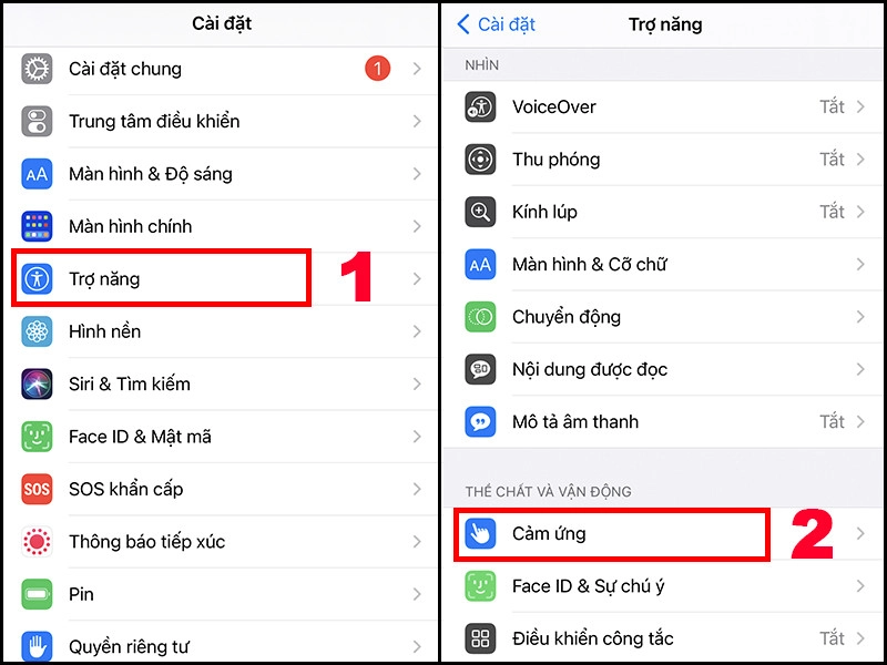 Chọn trợ nằng và chọn cảm ứng