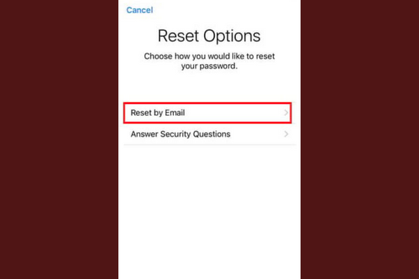 Lựa chọn Reset by Email 5