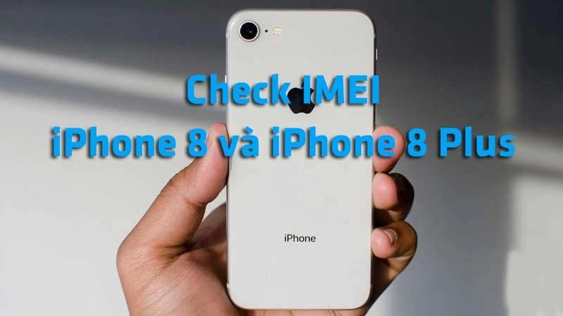 Check IMEI cho iPhone 8 và iPhone 8 Plus để kiểm tra thông tin gì?