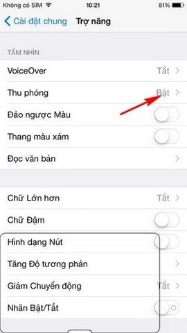 Tắt chế độ thu phóng trên iPhone X