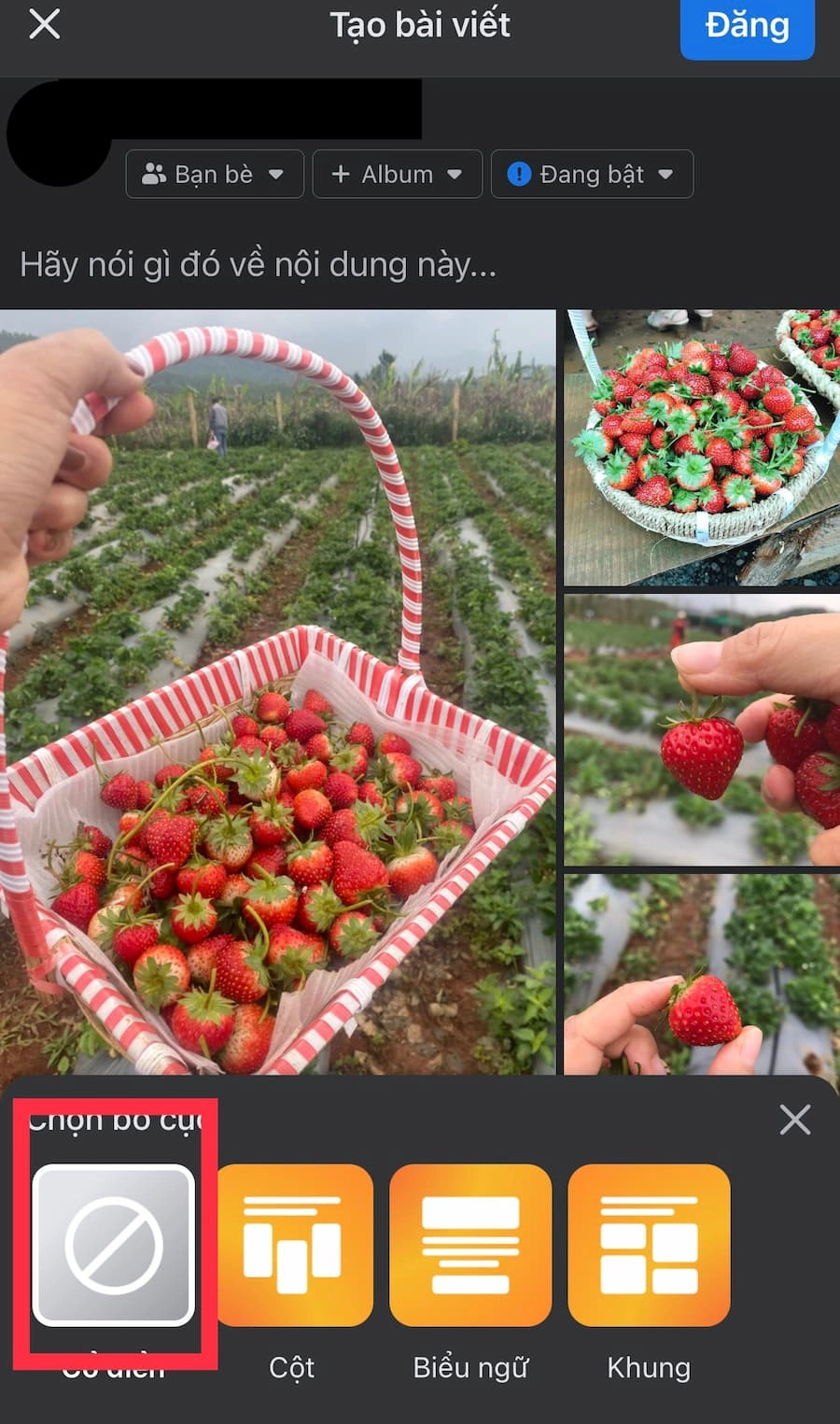 Bố cục ảnh theo kiểu Classic (Cổ điển) 