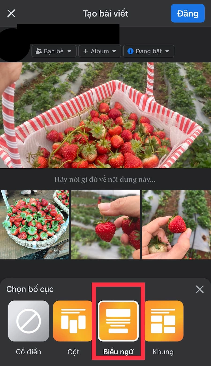 Bố cục ảnh theo kiểu Biểu ngữ (Banner)