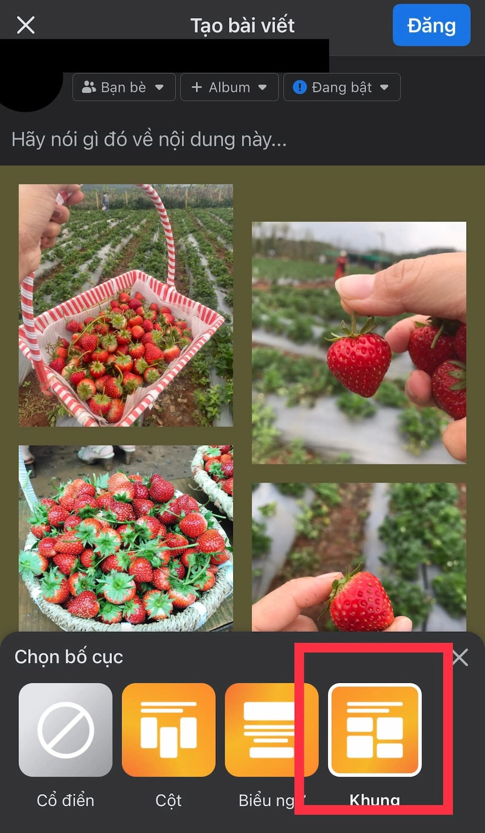 Bố cục ảnh theo kiểu Khung (Frame)