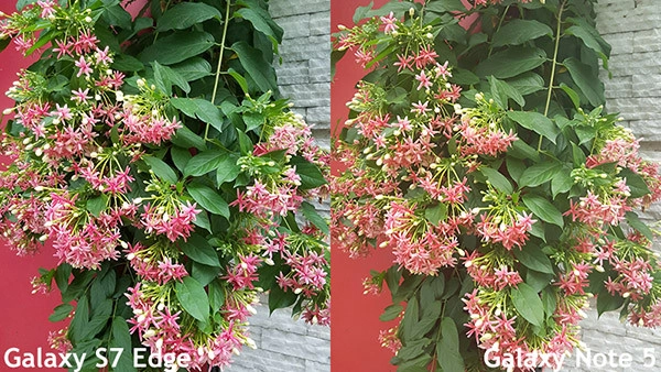 Camera Samsung Note 5 và S7 Edge 03