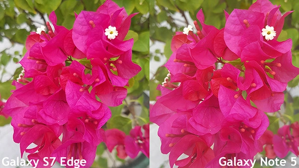 Camera Samsung Note 5 và S7 Edge 09