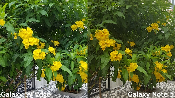 Camera Samsung Note 5 và S7 Edge 10