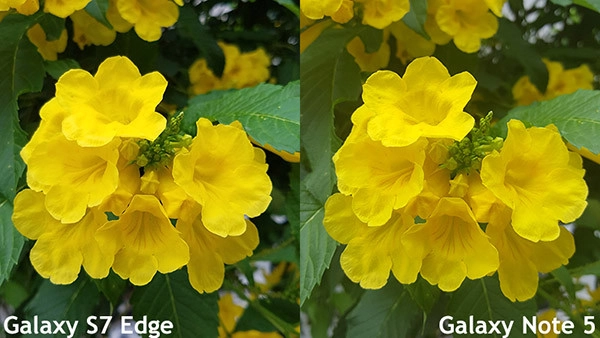 Camera Samsung Note 5 và S7 Edge 11