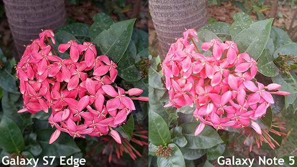 Camera Samsung Note 5 và S7 Edge 13