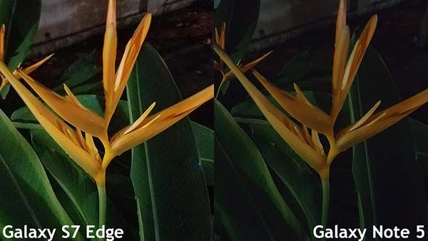 Camera Samsung Note 5 và S7 Edge 20