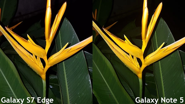 Camera Samsung Note 5 và S7 Edge 21