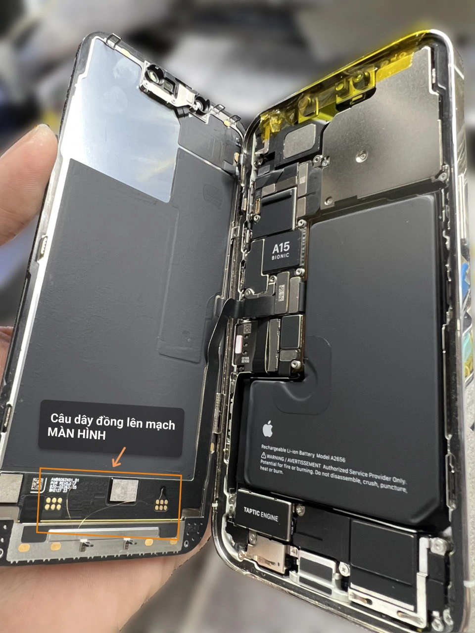 Fix lỗi màn hình xanh