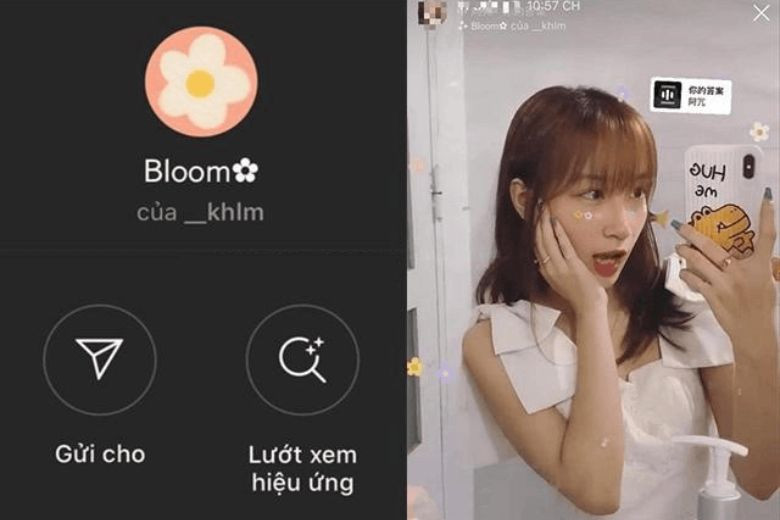 Filter Instagram Bloom