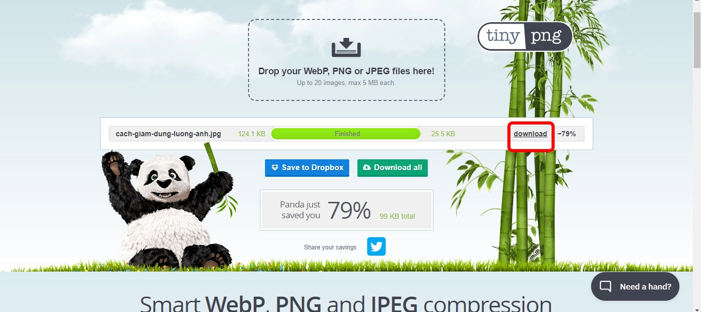 Chọn Download sau khi nén ảnh