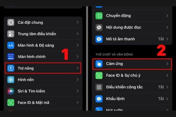 trợ năng - cảm ứng