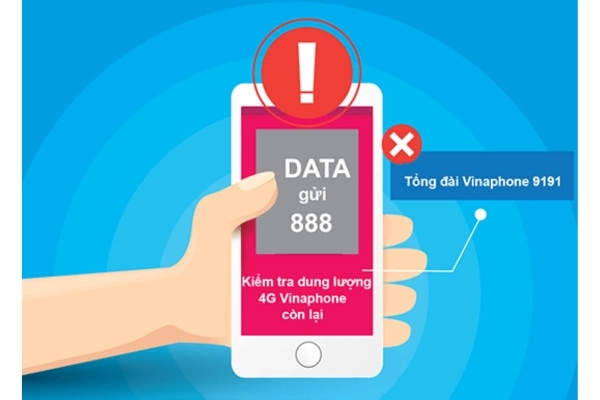 Cú pháp kiểm tra data vina