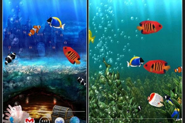 hình nền động cho Samsung 2