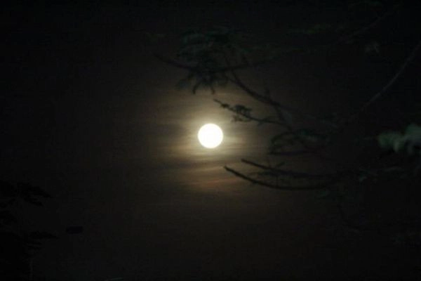 hình nền màu đen 24