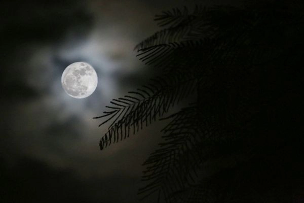 hình nền màu đen 27